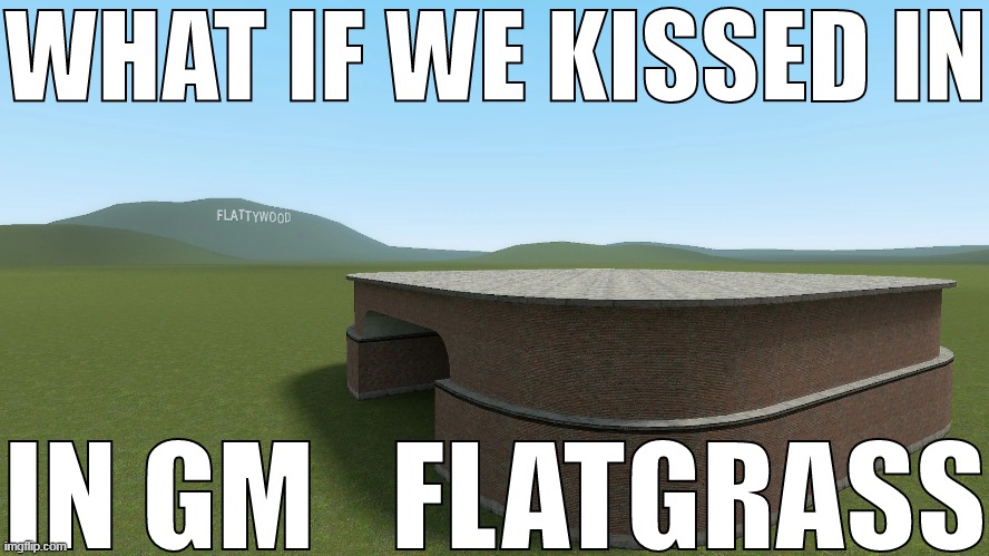 WHAT IF WE KISSED IN GM_FLATGRASS | image tagged in what if we kissed in gm_flatgrass | made w/ Imgflip meme maker