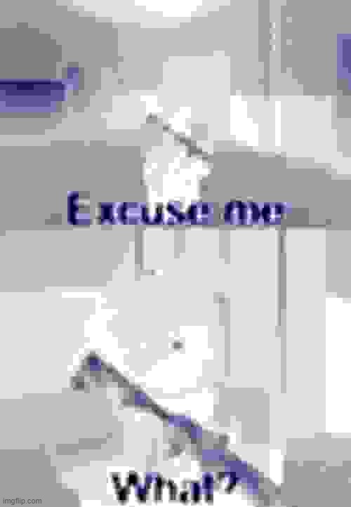 MTF Epsilon-11 Excuse me What? | image tagged in mtf epsilon-11 excuse me what | made w/ Imgflip meme maker
