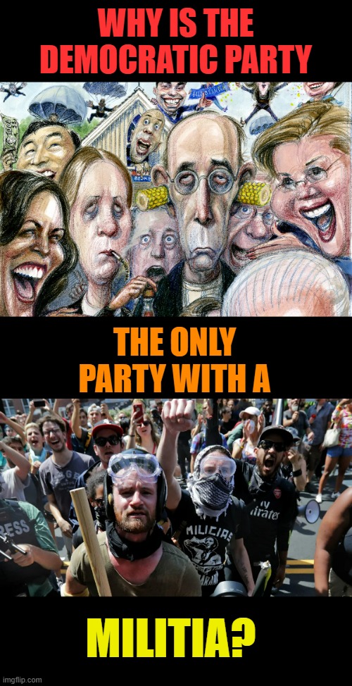 It's A Valid Question |  WHY IS THE DEMOCRATIC PARTY; THE ONLY PARTY WITH A; MILITIA? | image tagged in memes,politics,democratic party,only,party,militia | made w/ Imgflip meme maker