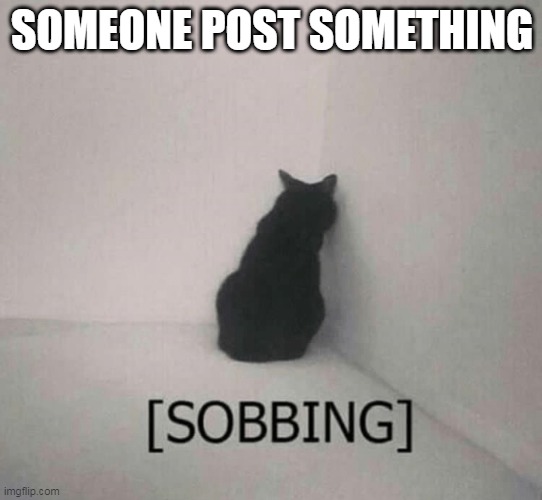 Sobbing cat | SOMEONE POST SOMETHING | image tagged in sobbing cat | made w/ Imgflip meme maker