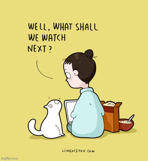A Cat Lady's Way Of Thinking | image tagged in memes,comics,cat lady,cats,what do we want,watching tv | made w/ Imgflip meme maker