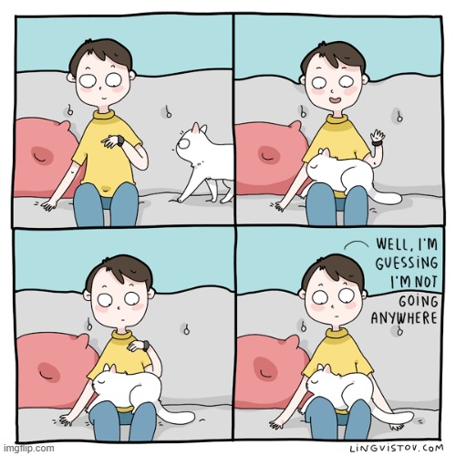 A Cat Guy's Way Of Thinking | image tagged in memes,comics,cats,sit down,move,its not going to happen | made w/ Imgflip meme maker