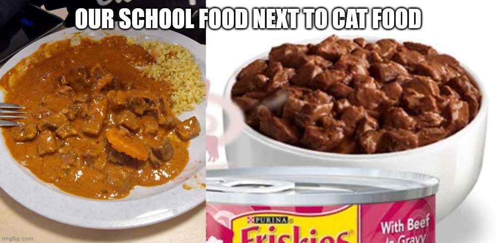 OUR SCHOOL FOOD NEXT TO CAT FOOD | made w/ Imgflip meme maker
