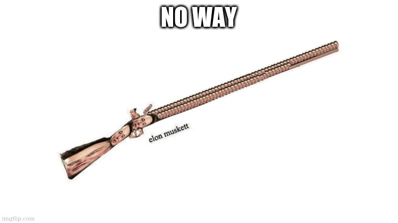 own a musket for home defense | NO WAY | image tagged in elon musket | made w/ Imgflip meme maker