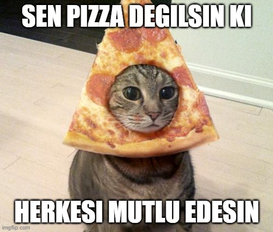 pizza cat turkish Blank Meme Template
