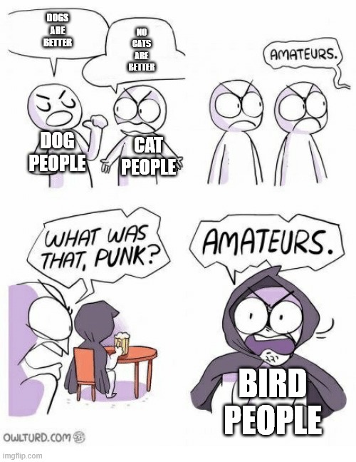 Amateurs | DOGS
ARE
BETTER; NO
CATS
ARE
BETTER; DOG
PEOPLE; CAT
PEOPLE; BIRD
PEOPLE | image tagged in amateurs | made w/ Imgflip meme maker