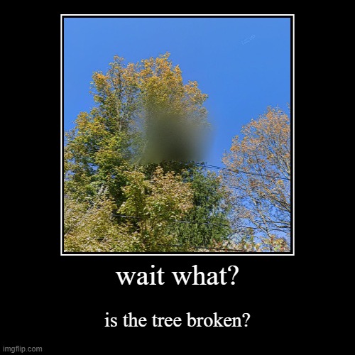 wait what? is the tree broken? | image tagged in demotivationals,fun,wait what | made w/ Imgflip demotivational maker