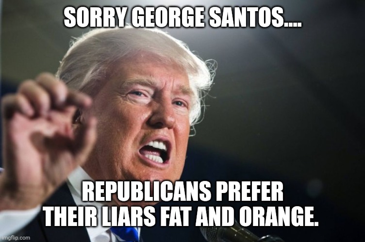 Hypoconservative | SORRY GEORGE SANTOS.... REPUBLICANS PREFER THEIR LIARS FAT AND ORANGE. | image tagged in donald trump,conservative,republican,democrat,liberal | made w/ Imgflip meme maker