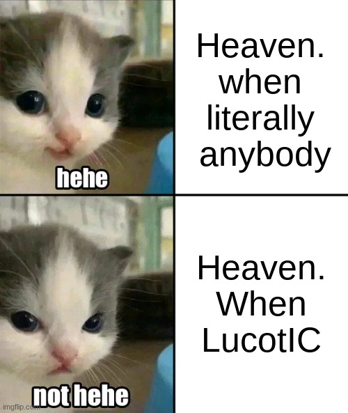 Cute cat hehe and not hehe | Heaven. when literally
 anybody; Heaven. When LucotIC | image tagged in cute cat hehe and not hehe | made w/ Imgflip meme maker