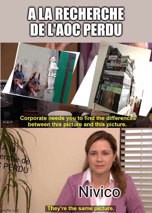 They're The Same Picture Meme | A LA RECHERCHE DE L'AOC PERDU; A la recherche de l'AOC PERDU; Nivico | image tagged in memes,they're the same picture | made w/ Imgflip meme maker