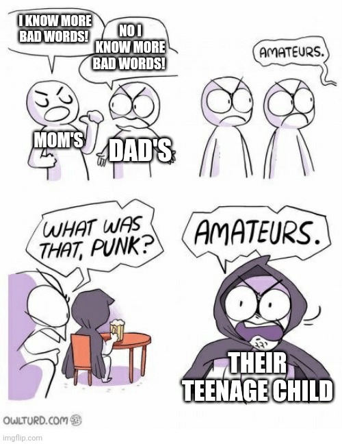 Very true | I KNOW MORE BAD WORDS! NO I KNOW MORE BAD WORDS! MOM'S; DAD'S; THEIR TEENAGE CHILD | image tagged in amateurs | made w/ Imgflip meme maker