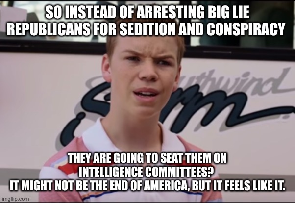 You Guys are Getting Paid | SO INSTEAD OF ARRESTING BIG LIE REPUBLICANS FOR SEDITION AND CONSPIRACY; THEY ARE GOING TO SEAT THEM ON INTELLIGENCE COMMITTEES? 
IT MIGHT NOT BE THE END OF AMERICA, BUT IT FEELS LIKE IT. | image tagged in you guys are getting paid | made w/ Imgflip meme maker