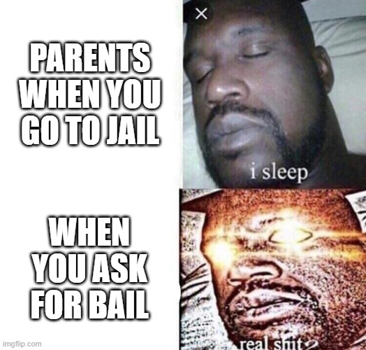 When you get arrested | PARENTS WHEN YOU GO TO JAIL; WHEN YOU ASK FOR BAIL | image tagged in i sleep real shit,parents,sleeping shaq | made w/ Imgflip meme maker