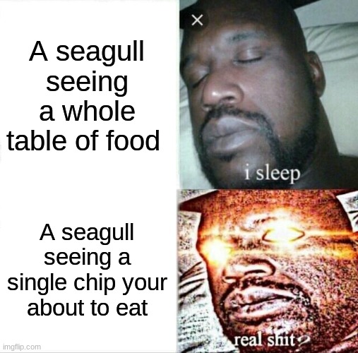 Seagullll | A seagull seeing a whole table of food; A seagull seeing a single chip your about to eat | image tagged in memes,sleeping shaq | made w/ Imgflip meme maker