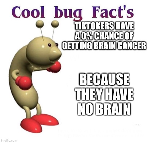 Cool Bug Facts | TIKTOKERS HAVE A 0% CHANCE OF GETTING BRAIN CANCER; BECAUSE THEY HAVE NO BRAIN | image tagged in cool bug facts | made w/ Imgflip meme maker