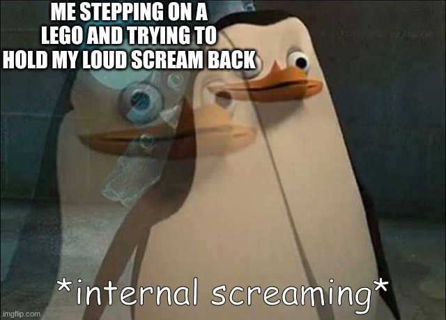 Private Internal Screaming | ME STEPPING ON A LEGO AND TRYING TO HOLD MY LOUD SCREAM BACK | image tagged in private internal screaming,funny | made w/ Imgflip meme maker