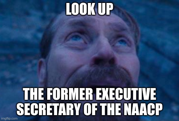 seems familiar | LOOK UP; THE FORMER EXECUTIVE SECRETARY OF THE NAACP | made w/ Imgflip meme maker