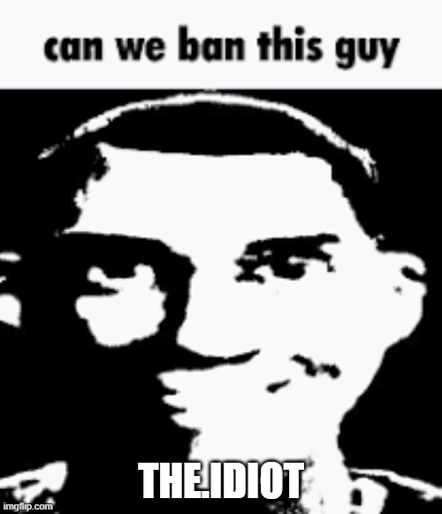 Can we ban this guy | THE.IDIOT | image tagged in can we ban this guy | made w/ Imgflip meme maker
