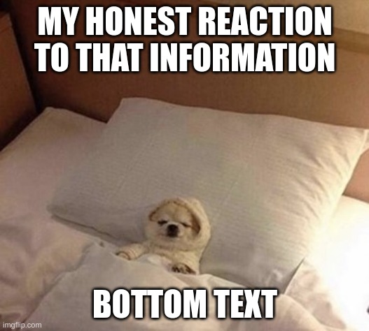 Dog in bed sleeping | MY HONEST REACTION TO THAT INFORMATION BOTTOM TEXT | image tagged in dog in bed sleeping | made w/ Imgflip meme maker