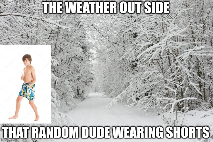 How do they survive? | THE WEATHER OUT SIDE; THAT RANDOM DUDE WEARING SHORTS | image tagged in snowy forest | made w/ Imgflip meme maker