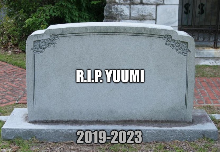 Blank Tombstone | R.I.P. YUUMI; 2019-2023 | image tagged in blank tombstone | made w/ Imgflip meme maker