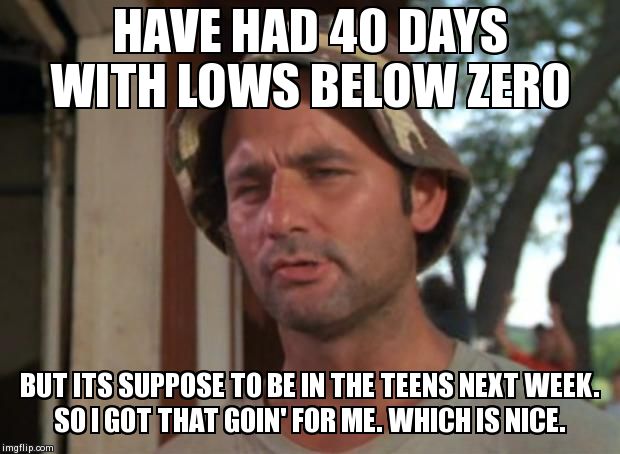 So I Got That Goin For Me Which Is Nice | HAVE HAD 40 DAYS WITH LOWS BELOW ZERO BUT ITS SUPPOSE TO BE IN THE TEENS NEXT WEEK. SO I GOT THAT GOIN' FOR ME. WHICH IS NICE. | image tagged in memes,so i got that goin for me which is nice | made w/ Imgflip meme maker