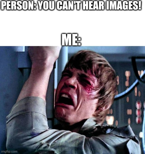 I'm not wrong | PERSON: YOU CAN'T HEAR IMAGES! ME: | image tagged in blank white template,luke skywalker crying | made w/ Imgflip meme maker