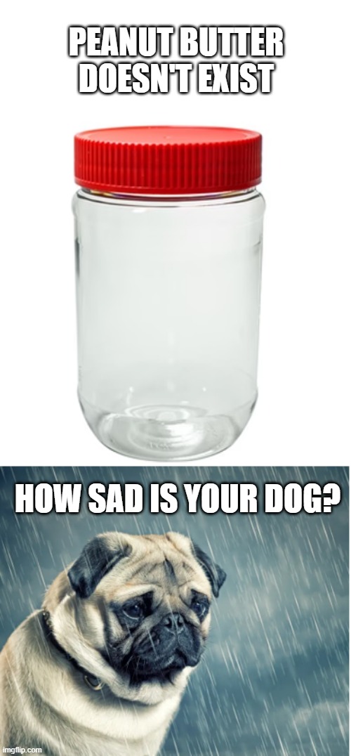 The World Will Never Be The Same | PEANUT BUTTER DOESN'T EXIST; HOW SAD IS YOUR DOG? | image tagged in memes,funny,dog | made w/ Imgflip meme maker