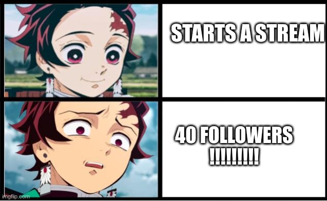 Tanjiro approval | STARTS A STREAM; 40 FOLLOWERS !!!!!!!!! | image tagged in tanjiro approval | made w/ Imgflip meme maker