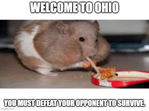 Defeat your oppnent P.3 | WELCOME TO OHIO; YOU MUST DEFEAT YOUR OPPONENT TO SURVIVE. | image tagged in omg | made w/ Imgflip meme maker