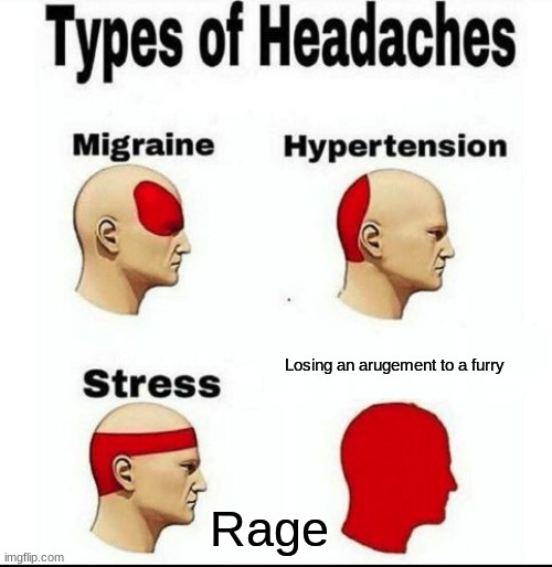 Types of Headaches meme | Losing an arugement to a furry; Rage | image tagged in types of headaches meme | made w/ Imgflip meme maker