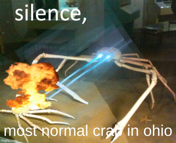 ohio | most normal crab in ohio | image tagged in silence crab,ohio | made w/ Imgflip meme maker