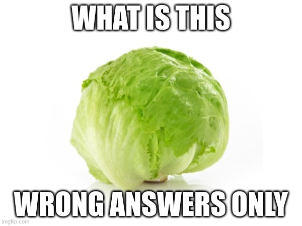 WHAT IS THIS; WRONG ANSWERS ONLY | image tagged in wrong answers only,lettuce,funny,memes | made w/ Imgflip meme maker