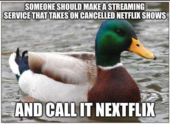 Nextflix. | SOMEONE SHOULD MAKE A STREAMING SERVICE THAT TAKES ON CANCELLED NETFLIX SHOWS; AND CALL IT NEXTFLIX | image tagged in memes,actual advice mallard | made w/ Imgflip meme maker