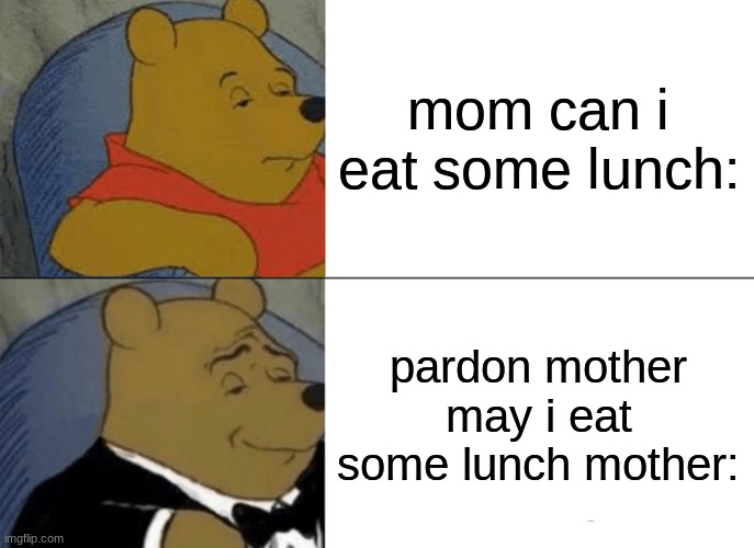 Tuxedo Winnie The Pooh Meme | mom can i eat some lunch:; pardon mother may i eat some lunch mother: | image tagged in memes,tuxedo winnie the pooh | made w/ Imgflip meme maker