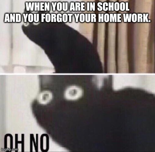 homework | WHEN YOU ARE IN SCHOOL AND YOU FORGOT YOUR HOME WORK. | image tagged in oh no cat,hw | made w/ Imgflip meme maker
