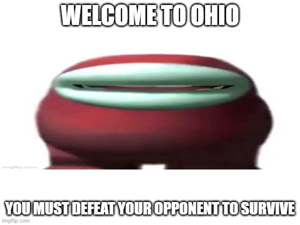 Defeat your oppnent P.4 | WELCOME TO OHIO; YOU MUST DEFEAT YOUR OPPONENT TO SURVIVE | image tagged in omg | made w/ Imgflip meme maker