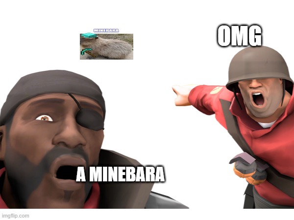 Omg a minebara | OMG; A MINEBARA | image tagged in omg | made w/ Imgflip meme maker