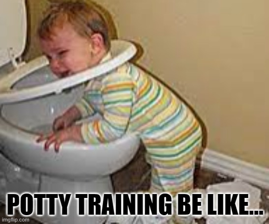 Oof | POTTY TRAINING BE LIKE... | image tagged in potty,funny,baby,crying baby | made w/ Imgflip meme maker