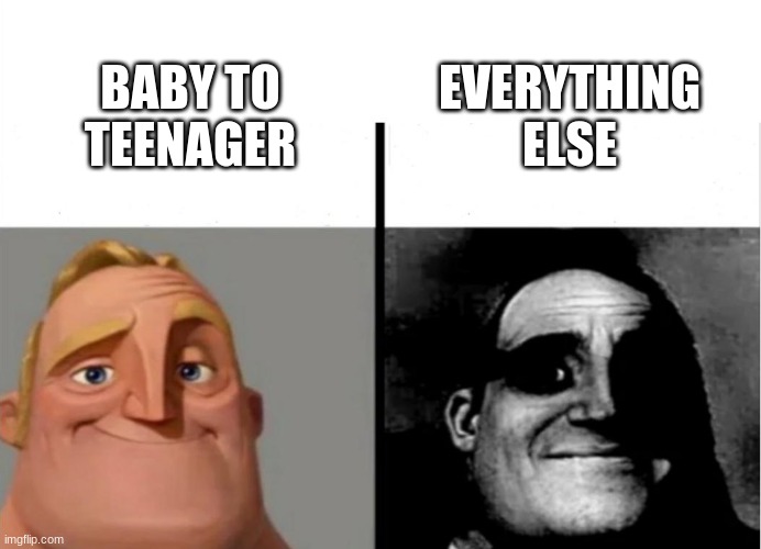 True story | EVERYTHING ELSE; BABY TO TEENAGER | image tagged in teacher's copy | made w/ Imgflip meme maker