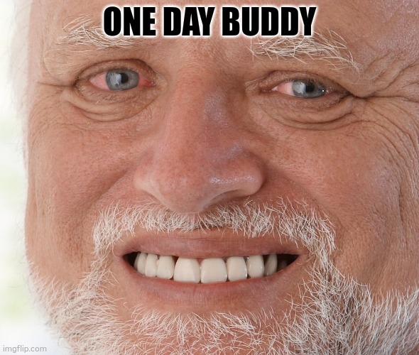 just for lolz | ONE DAY BUDDY | image tagged in hide the pain harold | made w/ Imgflip meme maker