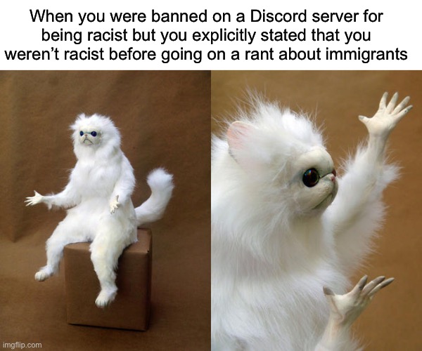 Confederate realg | When you were banned on a Discord server for being racist but you explicitly stated that you weren’t racist before going on a rant about immigrants | image tagged in memes,persian cat room guardian | made w/ Imgflip meme maker