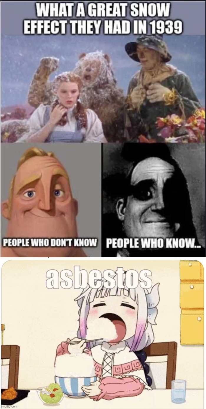 For those who don’t know: asbestos. It was asbestos. | image tagged in asbestos in wizard of oz,asbestos,asworstos,wizard of oz,if you know,you know | made w/ Imgflip meme maker