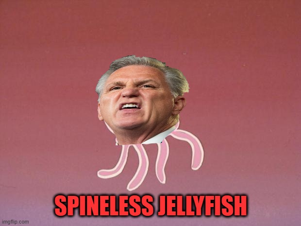 Jellyfish | SPINELESS JELLYFISH | image tagged in jellyfish | made w/ Imgflip meme maker