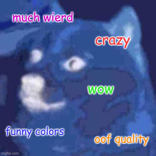 doge wierd | much wierd; crazy; wow; funny colors; oof quality | image tagged in memes,doge,wierd | made w/ Imgflip meme maker