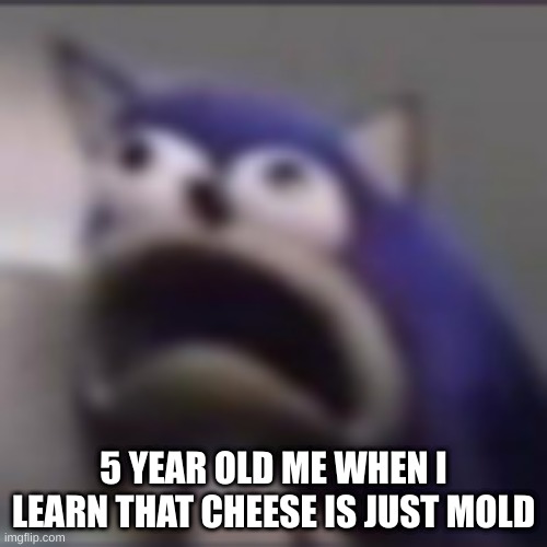 cheese | 5 YEAR OLD ME WHEN I LEARN THAT CHEESE IS JUST MOLD | image tagged in distress | made w/ Imgflip meme maker