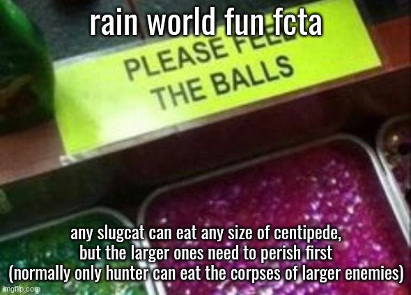 PLEASE FEEL THE BALLS | rain world fun fcta; any slugcat can eat any size of centipede, but the larger ones need to perish first
(normally only hunter can eat the corpses of larger enemies) | image tagged in please feel the balls | made w/ Imgflip meme maker