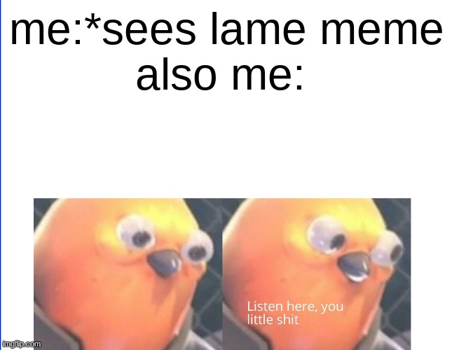 Listen here you little shit | me:*sees lame meme
also me: | image tagged in listen here you little shit | made w/ Imgflip meme maker