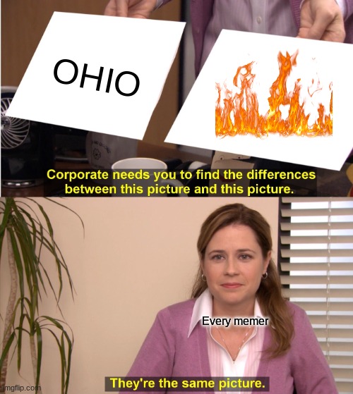 They're The Same Picture |  OHIO; Every memer | image tagged in memes,they're the same picture,ohio,fire,destruction 100,memers | made w/ Imgflip meme maker