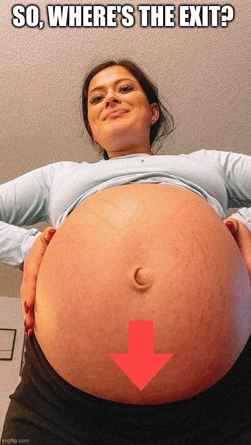 "Down there, honey" | SO, WHERE'S THE EXIT? | image tagged in pregnant,big belly,exit,down there | made w/ Imgflip meme maker